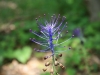 0065_1200x800