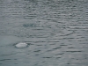 0002_1200x800
