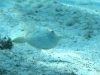 0067_1067x800