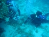0073_1067x800