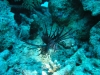 0059_1024x768