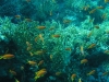 0089_1024x768