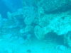 0058_1024x768