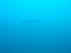 0060_1024x768