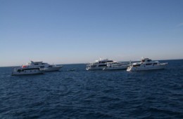 Wrak Thistlegorm 11.2008