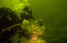 Długi weekend w czeskich Hermanicach