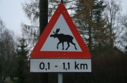 Norwegia-Oslo Fiord 12.2009