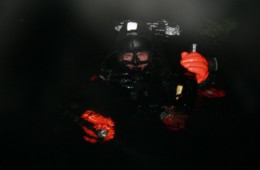 Wigilia, Sylwester, Nowy rok