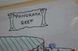 Marzec w Egipcie – Safaga