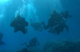 Szybując w blue nad rafa sen staje się jawą…