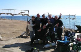 Dahab – styczeń 2008